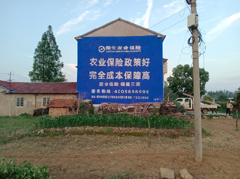 麻江墙体广告为何受追捧?